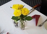 Wednesday Social